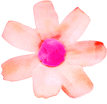 Watercolor Flower Illustration png