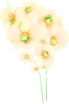 Watercolor Flower Illustration png