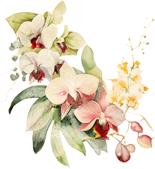 Watercolor Orchid Flower Illustration png