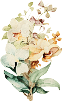 Watercolor Orchid Flower Illustration png