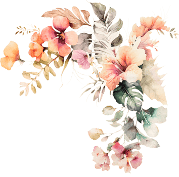 Watercolor Flower Illustration png