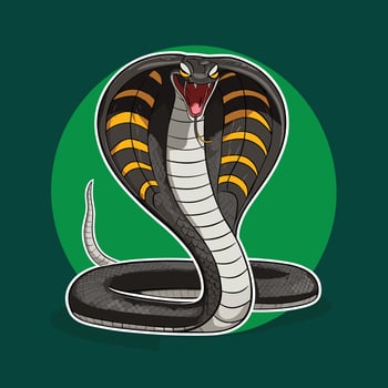Cartoon green snake on white background vector