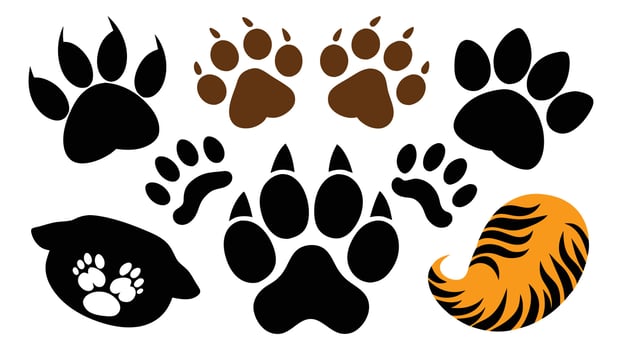 File Animals paw prints. Cartoon mammal footprints black bird foot. Wild animal feet silhouette. Foot paws track tiger Pets trails. set. vector