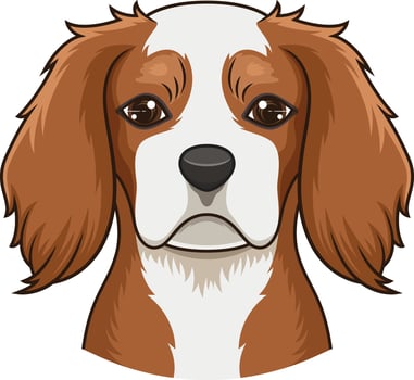 Cavalier king charles spaniel face illustration vector