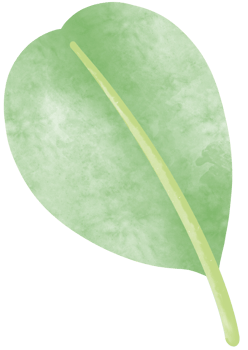 Simple botanical watercolors set png