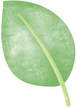 Simple botanical watercolors set png