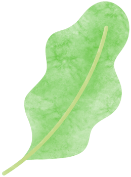 Simple botanical watercolors set png