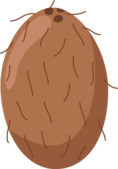 illustration of a funny coconut in cartoon style. vector