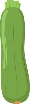 illustration of a funny zucchini in cartoon style. vector