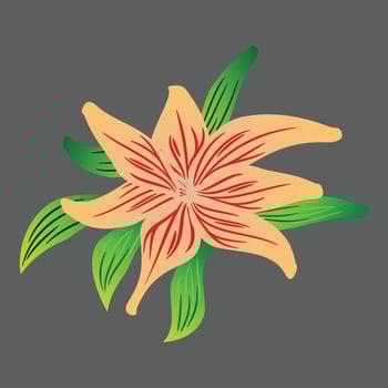 Floral Decorative Illustration vector