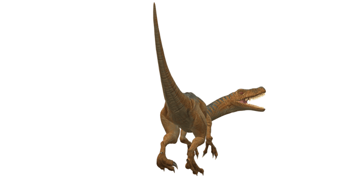 Velociraptor Dinosaur isolated on a Transparent Background png