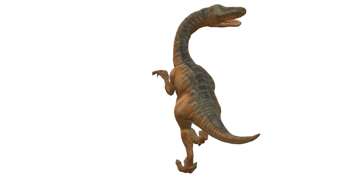 Velociraptor Dinosaur isolated on a Transparent Background png