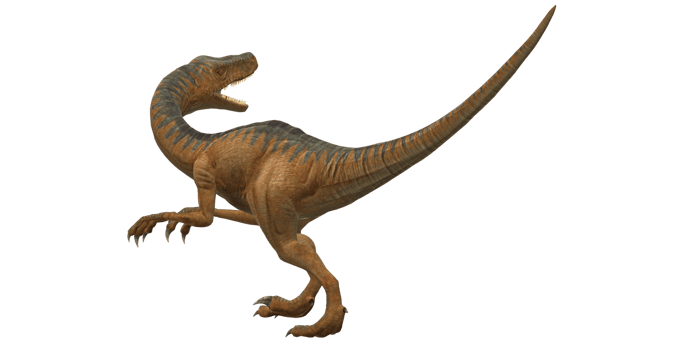 Velociraptor Dinosaur isolated on a Transparent Background png