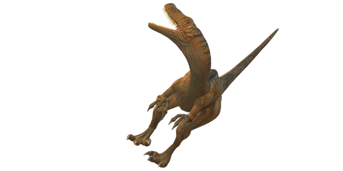 Velociraptor Dinosaur isolated on a Transparent Background png