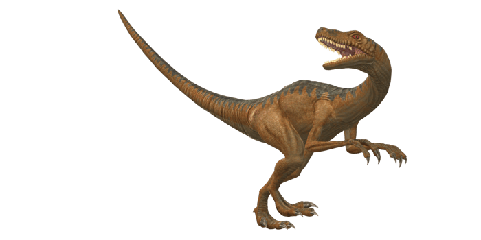 Velociraptor Dinosaur isolated on a Transparent Background png