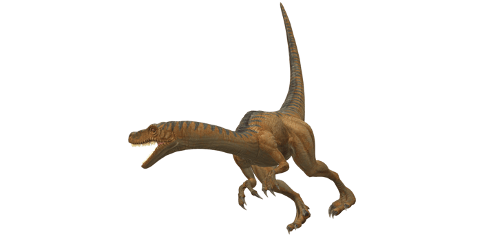 Velociraptor Dinosaur isolated on a Transparent Background png