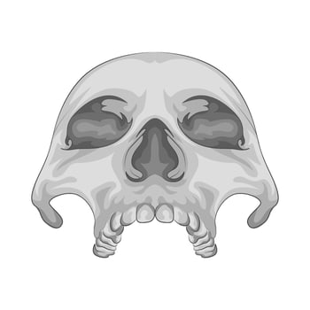 Illustration of skull vector