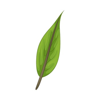 Illustration of leaf vector