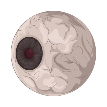 Illustration of eyeball vector