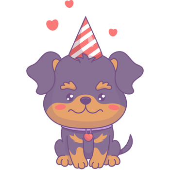 Happy dog with in birthday cap png