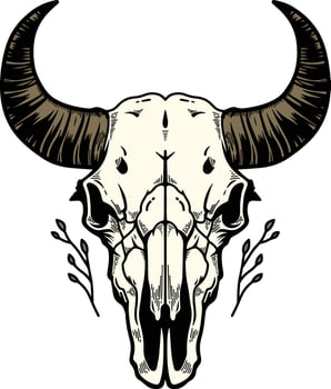 Bison skull illustration vector