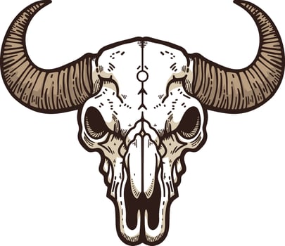 Bison skull illustration vector
