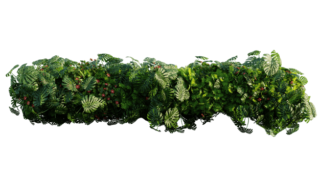Tropical plant garden foreground on a white background png
