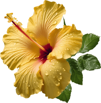 Close-up of a blooming hibiscus flower. AI-Generated. png