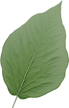 An image of a stylized leaf. AI-Generated. png