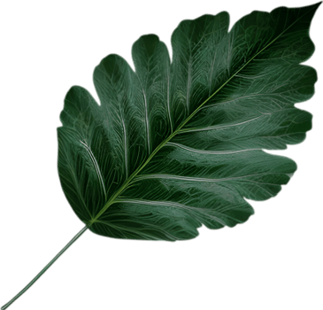 An image of a stylized leaf. AI-Generated. png