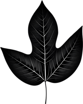 An image of a stylized leaf. AI-Generated. png