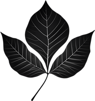 An image of a stylized leaf. AI-Generated. png
