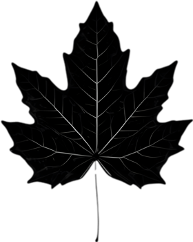 An image of a stylized leaf. AI-Generated. png