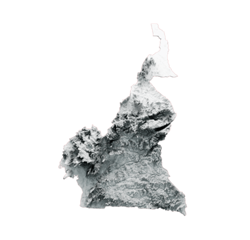 Cameroon Map Shaded relief map 3d illustration png