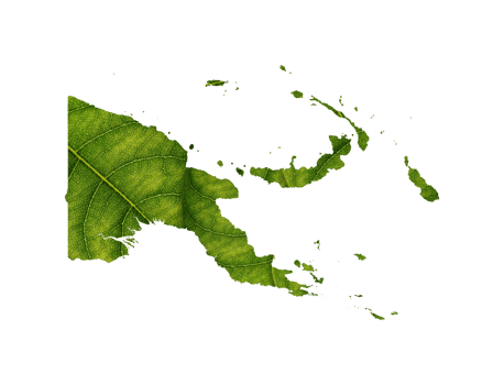 Papua New Guinea map made of green leaves ecology concept Papua New Guinea map made of green leaves ecology concept png