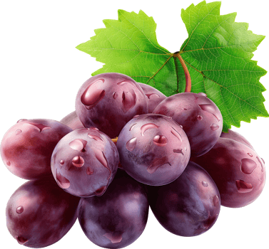 Fruits - Purple grape with leaves isolated on a transparent background png