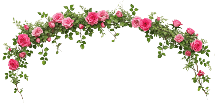 Tropical liana branches, flower and tropical leaves on transparent background, tropical vine hanging ivy plant png
