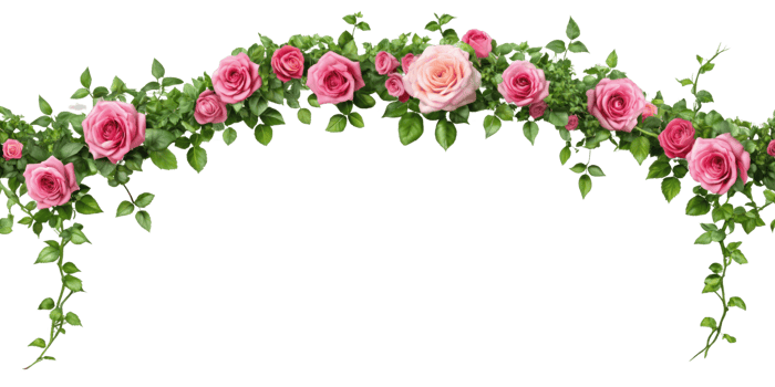 Tropical liana branches, flower and tropical leaves on transparent background, tropical vine hanging ivy plant png