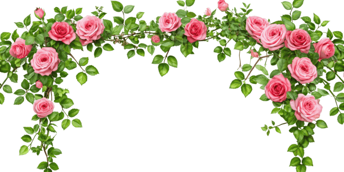 Tropical liana branches, flower and tropical leaves on transparent background, tropical vine hanging ivy plant png