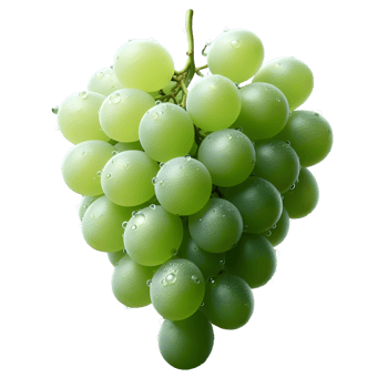 Fresh grapes bunch on transparent background png