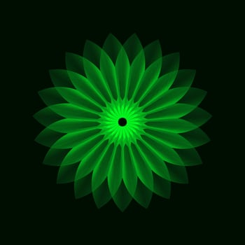 Geometric line gradient flower in grid style on a black background. Technology network background. Graphic ornament. Isometric illustration. Gradient blossom vector