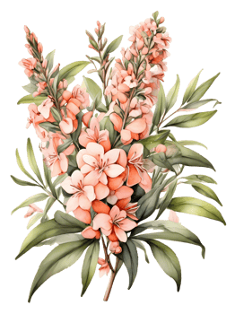 watercolor illustration of a bunch of pink flowers png
