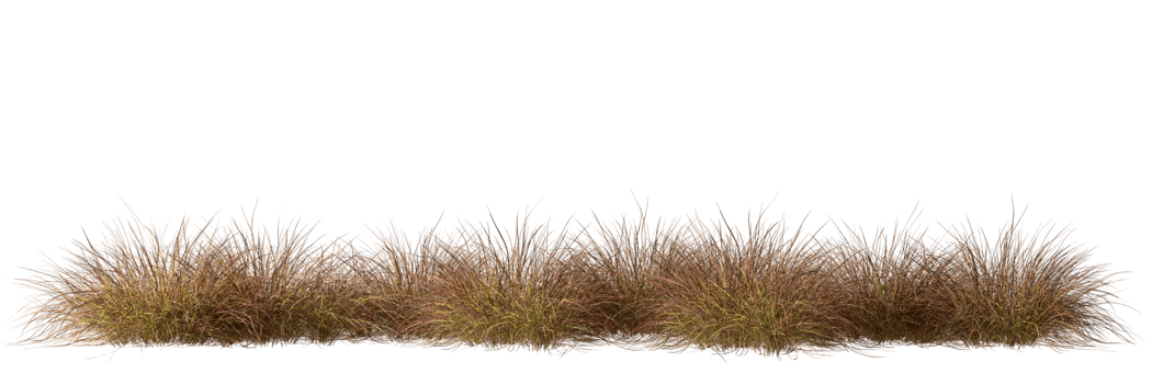 Savanna grass field row on transparent backgrounds 3d rendering png