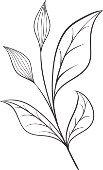rustic leaf ornament floral png