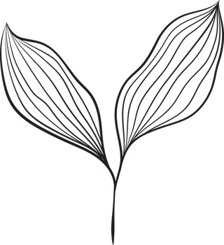 rustic leaf ornament floral png