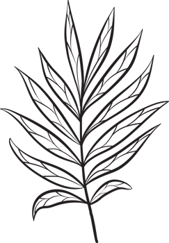rustic leaf ornament floral png