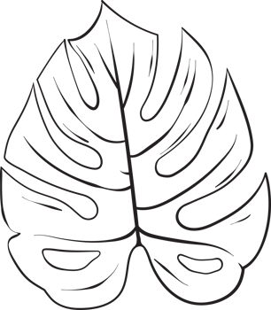 rustic leaf ornament floral png