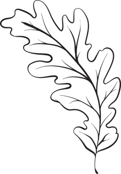 rustic leaf ornament floral png