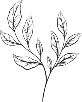 rustic leaf ornament floral png