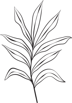 rustic leaf ornament floral png